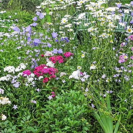 Himmelreichmuehle By Interhome Vakantiehuis