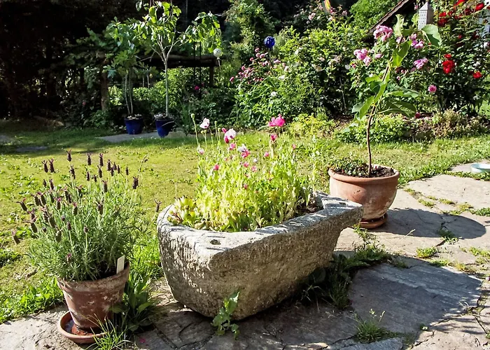 Himmelreichmuehle By Interhome Vakantiehuis *