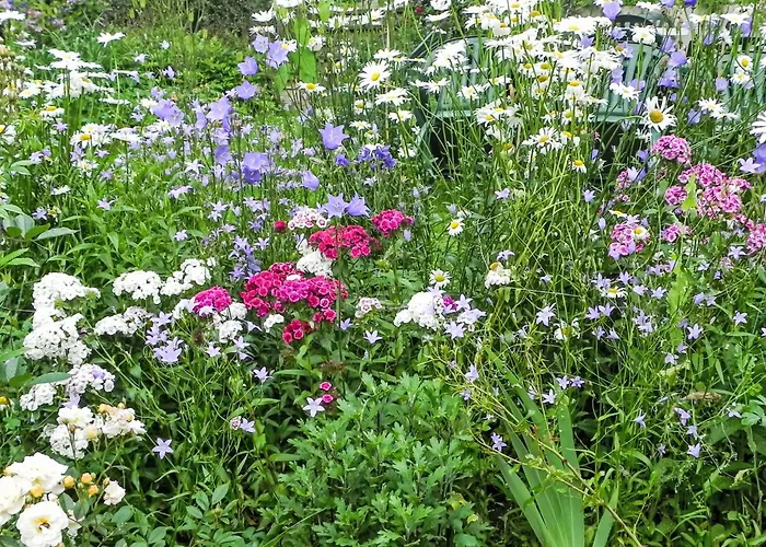 Himmelreichmuehle By Interhome Vakantiehuis